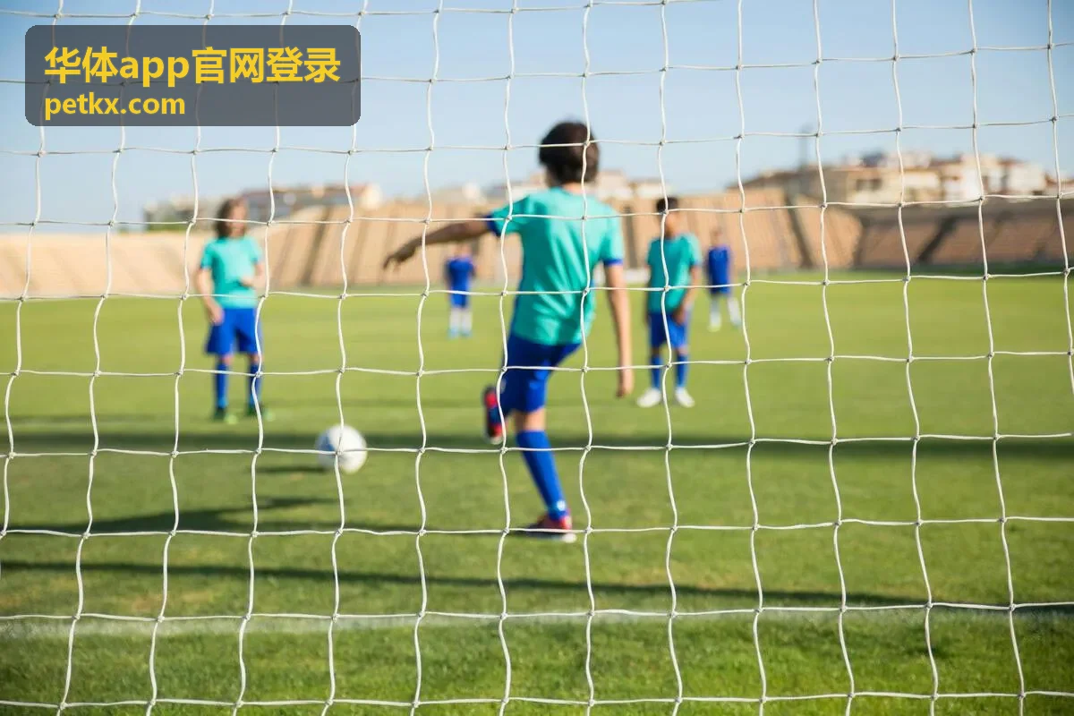 华体app官网登录区域热区数据面板封面
