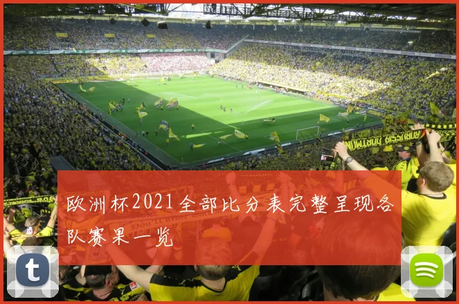欧洲杯2021全部比分表完整呈现各队赛果一览