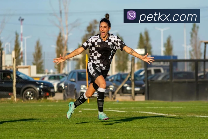 beat365官方网服务体系